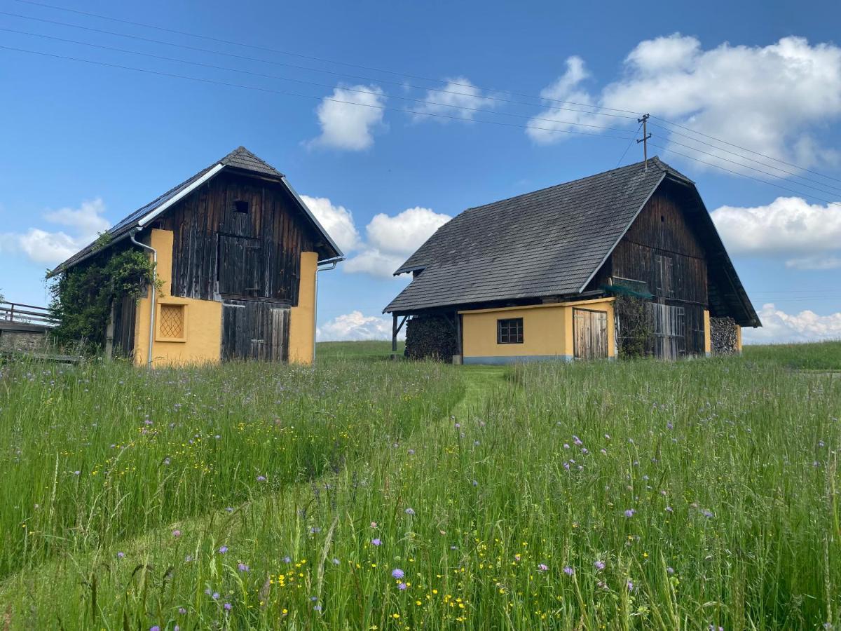 Temelhof - Landhaus Mit Sauna Und Kamin Sittersdorf 外观 照片